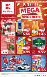 Aktueller Kaufland Supermarkt Prospekt in Gröditz und Umgebung, "UNSERE MEGA ANGEBOTE" mit 50 Seiten, 13.02.2025 - 19.02.2025