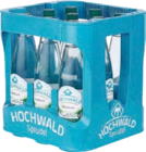 Mineralwasser im Angebot bei Globus-Baumarkt in Saarbrücken Mineralwasser Angebote von Hochwald bei Globus-Baumarkt Saarbrücken für 3,59 €