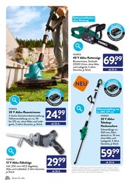 Gräser Angebot & Preis im aktuellen ALDI SÜD Prospekt Gräser Angebot im aktuellen ALDI SÜD Prospekt auf Seite 6