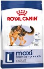 Hundenahrung Angebote von Royal Canin bei REWE Dessau-Roßlau für 67,99 €