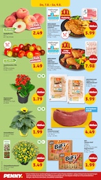 Kalanchoe Angebot im aktuellen Penny Prospekt auf Seite 30