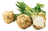 Sellerie mit Grün im Angebot bei REWE in Kempen Sellerie mit Grün Angebote von REWE Regional bei REWE Kempen für 1,39 €