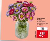 Asternstrauß Harlekin im Angebot bei Marktkauf in Ulm Asternstrauß Harlekin Angebote bei Marktkauf Ulm für 4,99 €