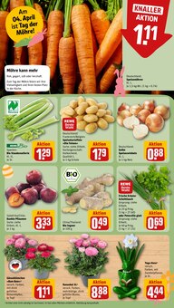 Pflanzen im REWE Prospekt "Dein Markt" mit 20 Seiten (Hannover)
