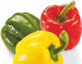 Paprika-Mix im Angebot bei Netto Marken-Discount in Nordhorn Paprika-Mix Angebote bei Netto Marken-Discount Nordhorn für 2,20 €