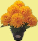 Pot Chrysanthèmes Artificiels 9 Têtes Thevenin - Netto à Versailles Pot Chrysanthèmes Artificiels 9 Têtes Thevenin en promo chez Netto Versailles à 6,99 €
