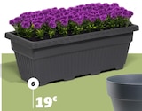 Jardinière en promo chez Gifi Quimper à 19,00 €