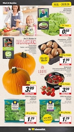 Tomaten im EDEKA Prospekt in Arnsberg Aktueller EDEKA Prospekt mit Tomaten, "Aktuelle Angebote", Seite 5