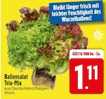 EDEKA Wartenberg Prospekt mit  im Angebot für 1,11 €