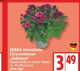 Chrysanthemen Aubisque bei EDEKA im Borgsdorf Prospekt für 3,49 €