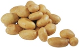Aktuelles Speisekartoffeln Princess Angebot bei REWE in Siegen (Universitätsstadt) ab 10,50 €