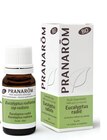 Eucalyptus radié - PRANAROM dans le catalogue NaturéO