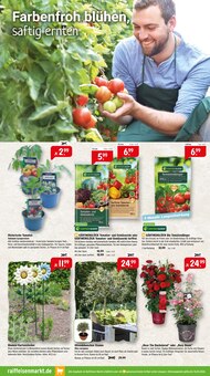 Tomaten im Raiffeisenmarkt Prospekt "Für eine grüne Oase und gemütliche Pausen" mit 8 Seiten (Münster)