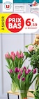15 Tulipes U - U en promo chez Super U Chambéry à 6,59 €