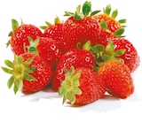 Netto mit dem Scottie Karft - Erdbeeren Angebot im Prospekt Erdbeeren bei Netto mit dem Scottie im Karft Prospekt für 2,19 €