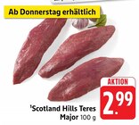 Teres Major bei E center im Prospekt "" für 2,99 €