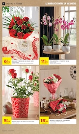 Orchidée Angebote im Prospekt "JUSQU'À 20€ OFFERTS EN BONS D'ACHAT SUR LE RAYON SURGELÉS" von Intermarché Super auf Seite 14