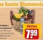 Frühjahrsarrangement Angebote bei REWE Königswinter für 7,99 €