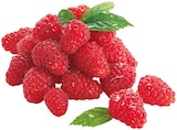 Bio Grapefruit Angebote von REWE Bio bei REWE Salzgitter für 0,69 €