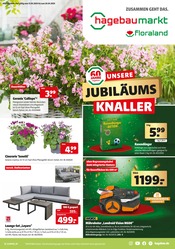 Aktueller Hagebaumarkt Prospekt mit Gartengeräte, "UNSERE JUBILÄUMS^KNALLER", Seite 1