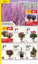 Plantes Angebote im Prospekt "À vos marques à prix Lidl" von Lidl auf Seite 4