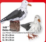 Deko-Möwe Angebote bei Kaufhaus Stolz Neumünster für 20,00 €