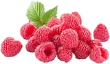 Himbeeren bei REWE im Prospekt "" für 1,99 €