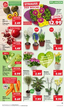 Blumen im Kaufland Prospekt "Aktuelle Angebote" mit 56 Seiten (Gelsenkirchen)