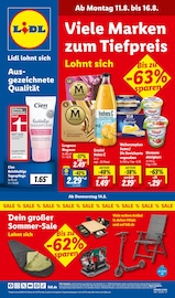 Aktueller Lidl Discounter Prospekt in Rossau und Umgebung, "LIDL LOHNT SICH" mit 71 Seiten, 11.08.2025 - 16.08.2025