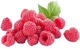 nahkauf Eltville - Himbeeren Angebot im Prospekt Himbeeren bei nahkauf im Eltville Prospekt für 1,99 €