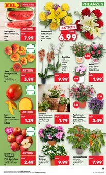 Blumenstrauß im Kaufland Prospekt "KNÜLLER" mit 52 Seiten (Osnabrück)