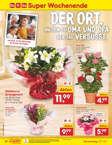 Blumen im Netto Marken-Discount Prospekt "Aktuelle Angebote" mit 54 Seiten (Regensburg)