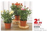 Rosier en promo chez Super U Montpellier à 2,99 €