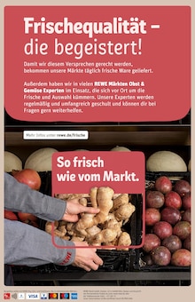 Herrenunterwäsche Angebot im REWE Prospekt, gültig von 24.11.2025 bis 29.11.2025 Herrenunterwäsche Angebot im aktuellen REWE Prospekt auf Seite 36