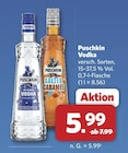 Aktuelles Vodka Ice Filtered Angebot bei combi in Bremen ab 5,99 €
