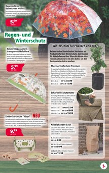 Pflanzen im Kiebitzmarkt Prospekt "Draußen in der Natur!" mit 8 Seiten (Paderborn)