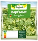 Aktuelles Endiviensalat oder Kopfsalat Angebot bei REWE in Braunschweig ab 1,79 €