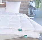 Kopfkissen 80x80 cm im Angebot bei Möbel Wanninger in Straubing Kopfkissen 80x80 cm Angebote von f.a.n frankenstolz bei Möbel Wanninger Straubing für 34,95 €