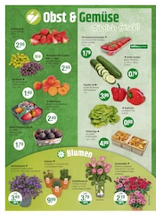 Aktueller V-Markt Prospekt mit Tomaten, "V-Markt einfach besser einkaufen", Seite 4