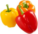 Paprika Mix Angebot in Weyhe Paprika Mix im aktuellen Prospekt bei REWE in Weyhe
