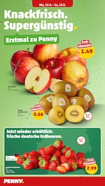 Aktueller Penny Prospekt mit Äpfel, "Wer günstig will, muss Penny.", Seite 2