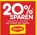 20 % Rabatt Angebote von Maggi bei Netto Marken-Discount Potsdam