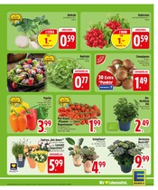 Gemüse im EDEKA Prospekt in Heidenheim Aktueller EDEKA Prospekt mit Gemüse, "Wir lieben Lebensmittel.", Seite 5