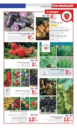 Offre Arbre Fruitier dans le catalogue Super U du moment à la page 7