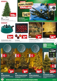 Weihnachtsbaum im Hagebaumarkt Prospekt "UNSERE BLACK WEEK KNALLER" mit 8 Seiten (Brandenburg (Havel))