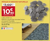 PÉTALES D'ARDOISE NATURELLE à Gedimat dans Liginiac PÉTALES D'ARDOISE NATURELLE à Gedimat dans Liginiac