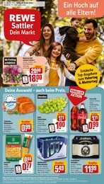 Aktueller REWE Supermärkte Prospekt für Reitmehring: Dein Markt mit 28} Seiten, 06.05.2024 - 11.05.2024