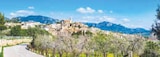MANDELBLÜTE MALLORCA Angebot in Hohenfinow MANDELBLÜTE MALLORCA im aktuellen Prospekt bei Netto Marken-Discount in Hohenfinow