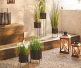 Aktuelle Blumentopf Angebote bei XXXLutz Möbelhäuser in Heidelberg Aktuelles Pflanztopf Angebot bei XXXLutz Möbelhäuser in Heidelberg ab 6,99 €