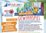 Frische Äpfel vom Bodensee im aktuellen Prospekt bei EDEKA in Lindenhof